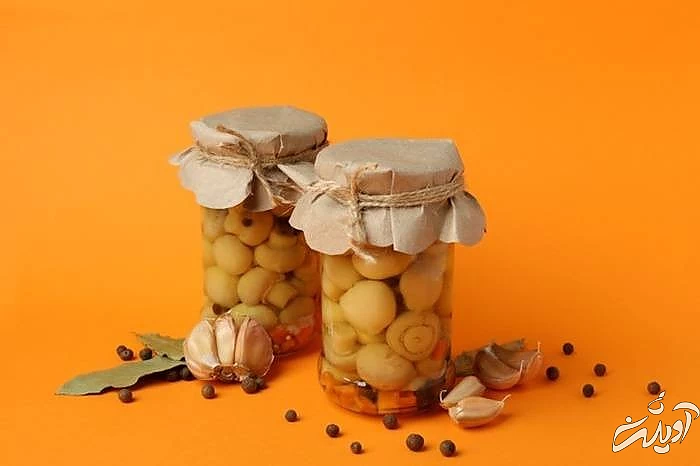 روش آماده کردن کنسرو قارچ کنسرو قارچ